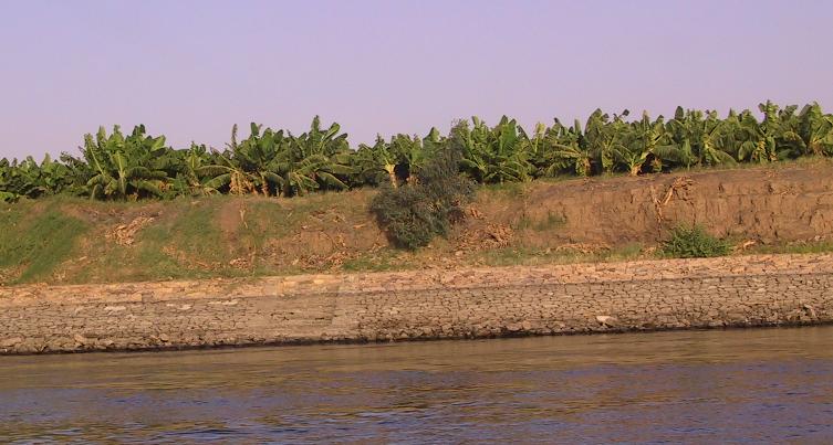 Nil-Ufer mit Schlammablagerungen